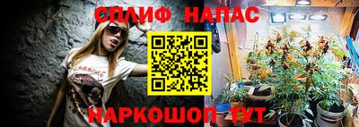 бошки Можга